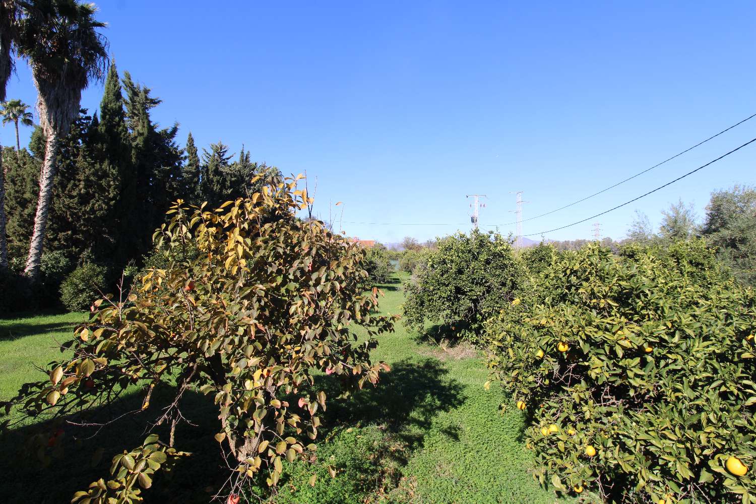 Natural retreat with country house and productive land