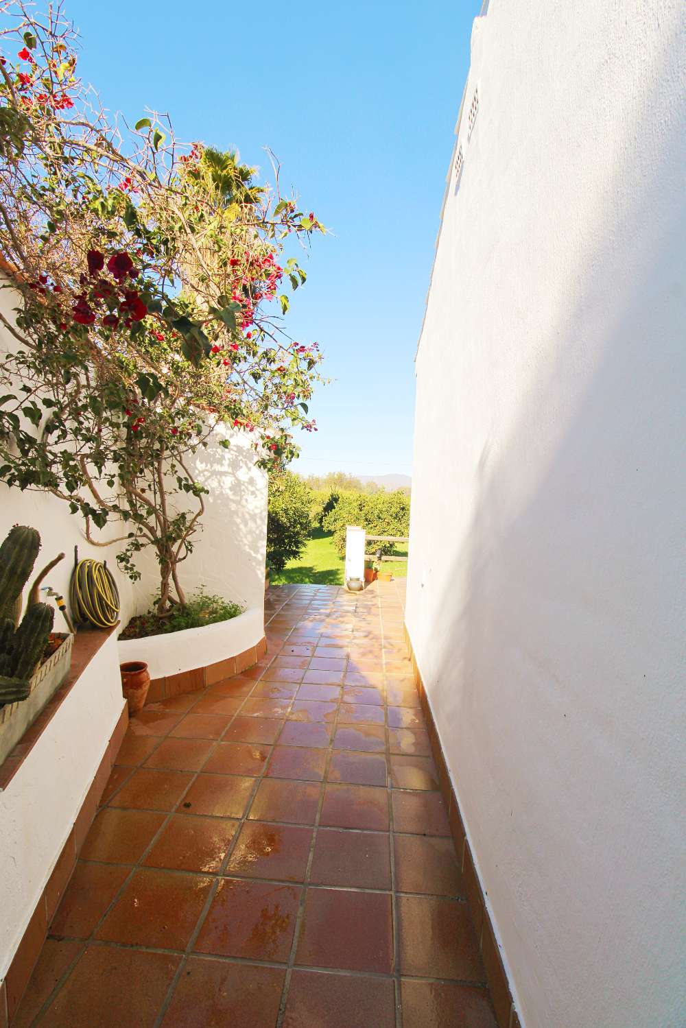 Natural retreat with country house and productive land