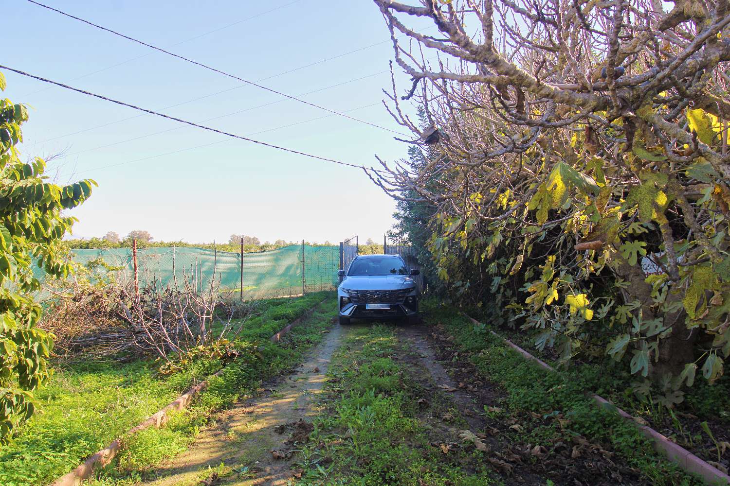 Natural retreat with country house and productive land