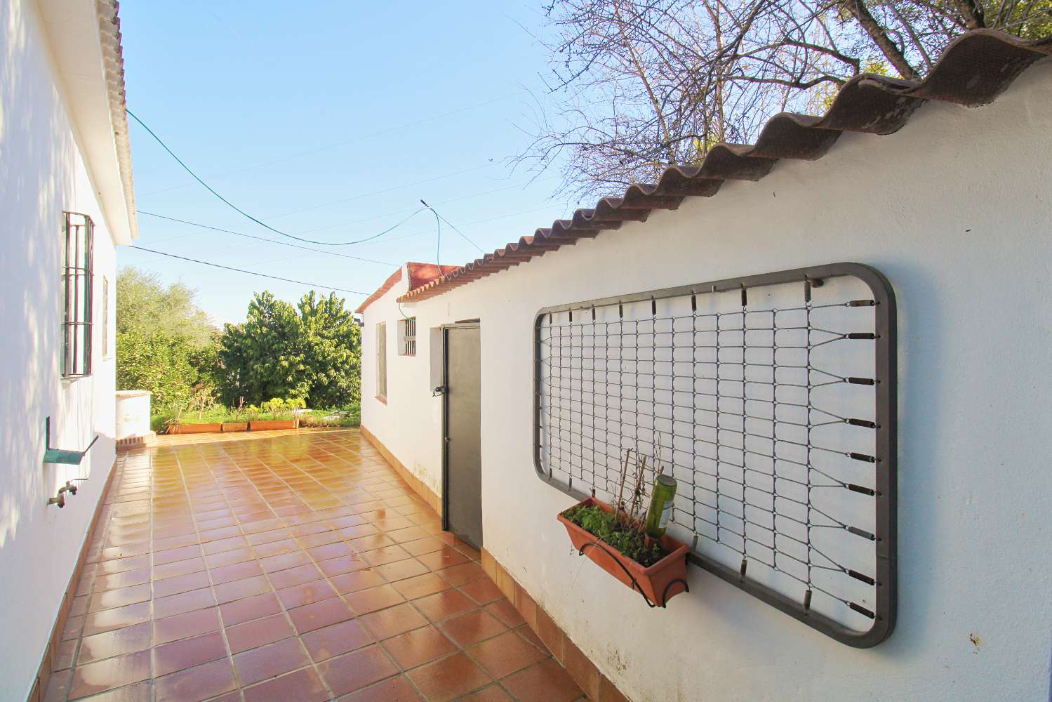 Natural retreat with country house and productive land