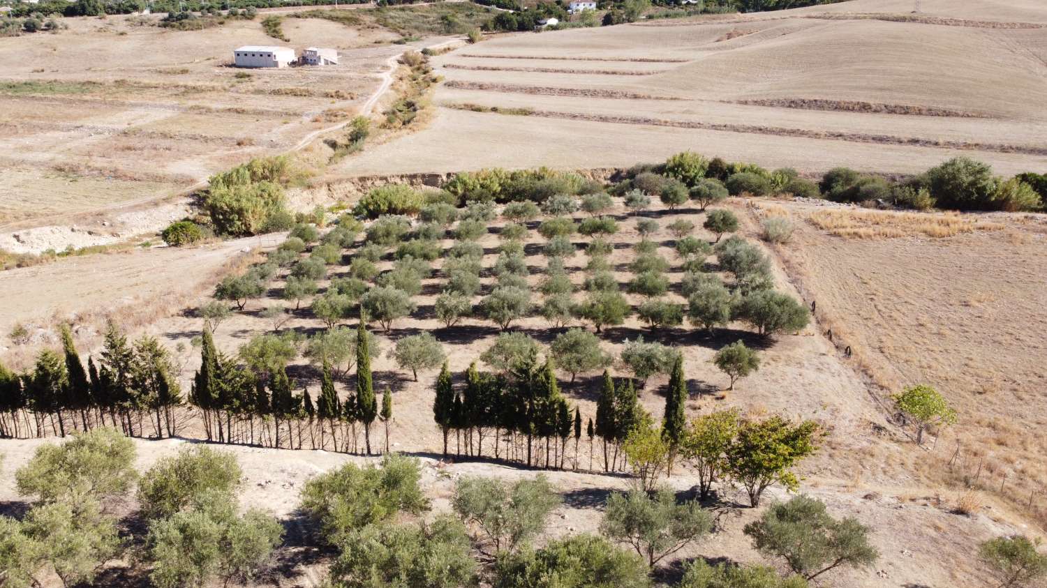 Exklusive Finca mit Gästehaus, Pool und Panoramablick in La Alquería – Alhaurín de la Torre