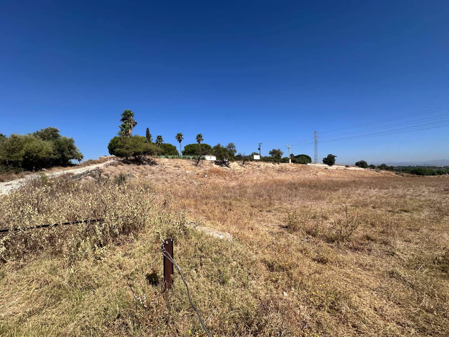 Magnífica Parcela Rústica de Regadío de 19.190 m² – Naturaleza, Espacio y Gran Potencial Agrícola
