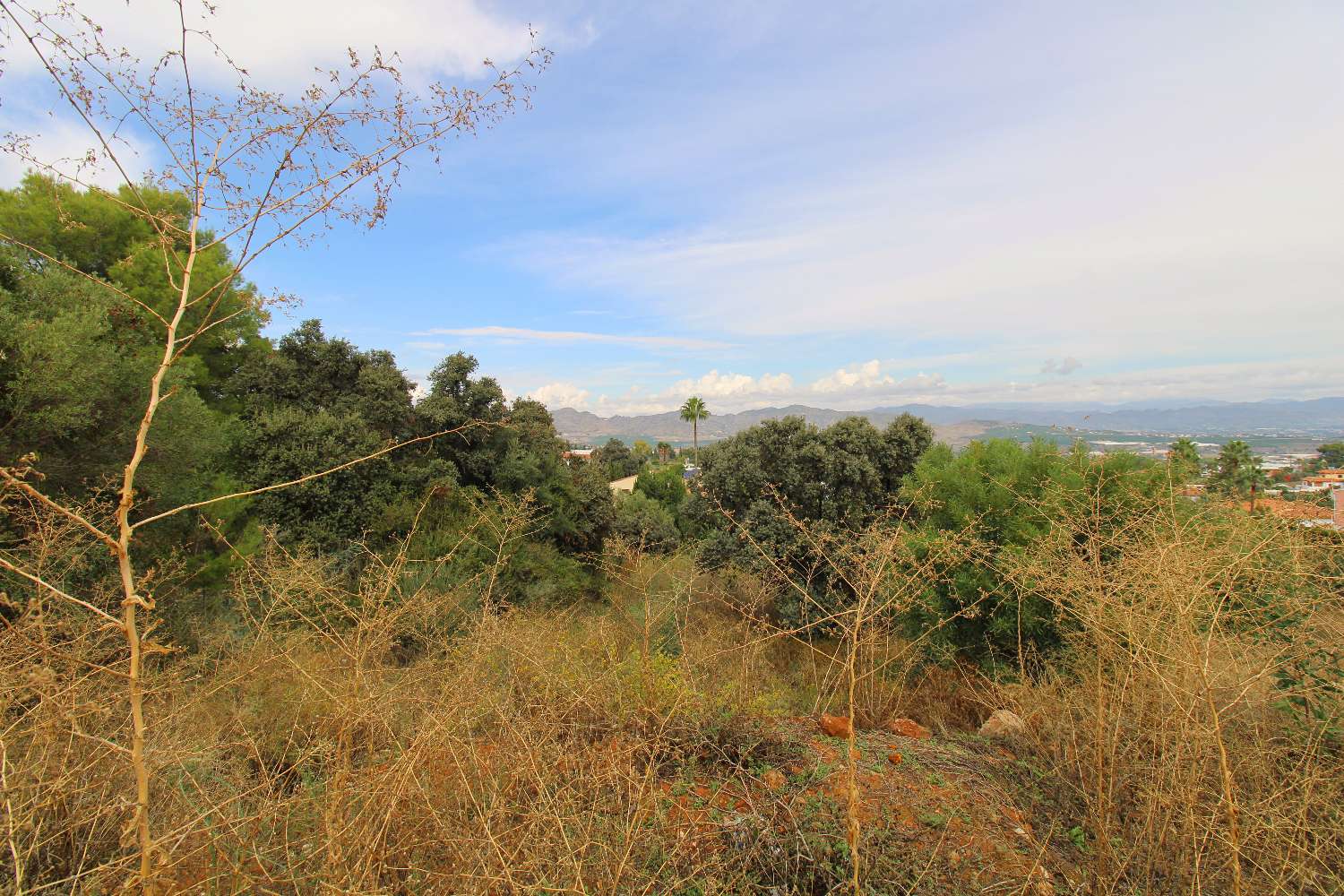 GROSSZÜGIGES GRUNDSTÜCK MIT 1.339 M² IN PINOS DE ALHAURÍN – BEVORZUGTE LAGE