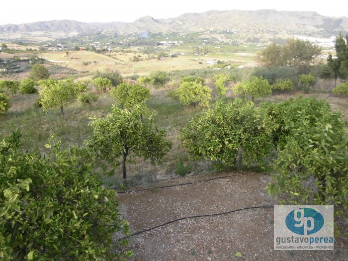 Finca rústica en Pizarra