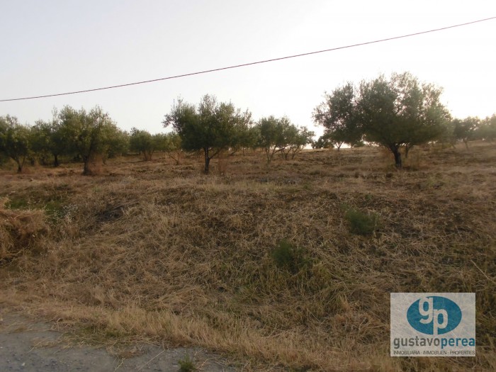 Rustic property in Pizarra