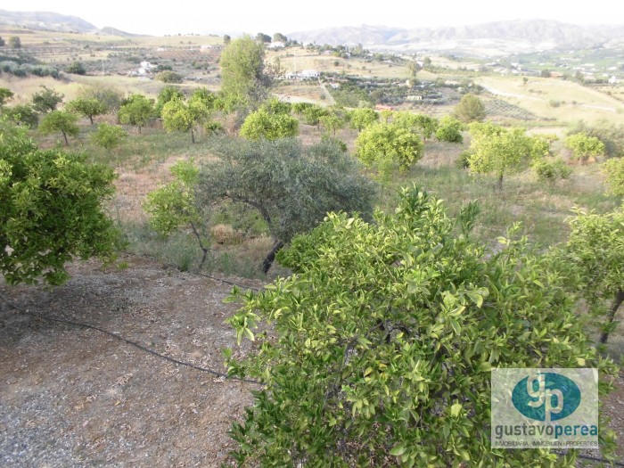 Finca rústica en Pizarra