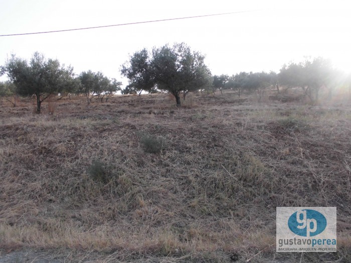 Rustic property in Pizarra