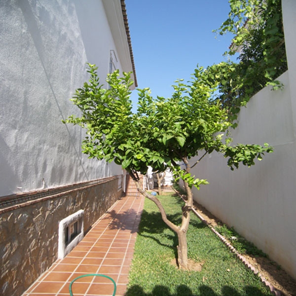 Chalet in vendita a Alhaurín de la Torre