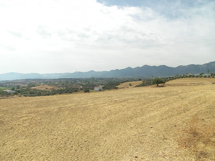 Finca en venta en Alhaurín de la Torre