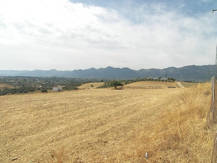 Domain en vente à Alhaurín de la Torre