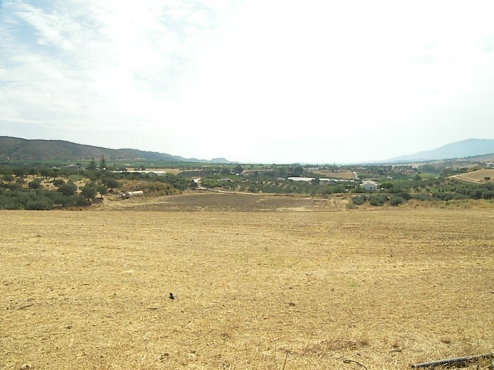 Country Property for sale in Alhaurín de la Torre