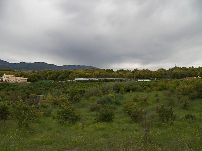 Plot salgai in Alhaurín de la Torre