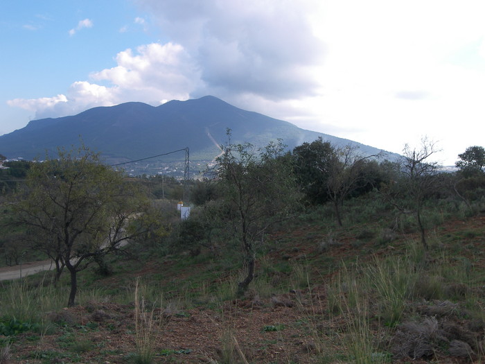 Finca ubicada en Coín