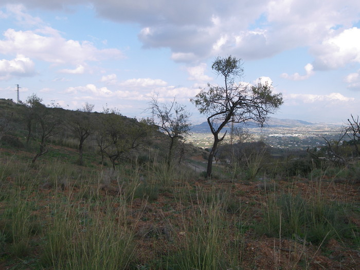 Country Property salgai in Coín