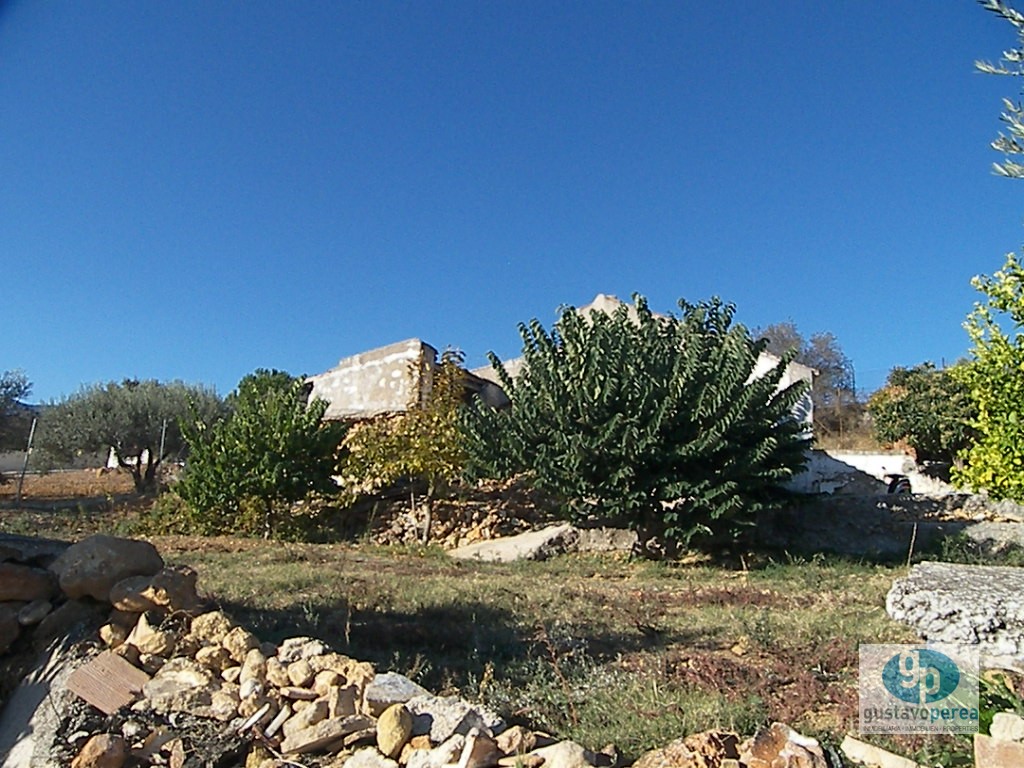 Farm in the Farmhouse.