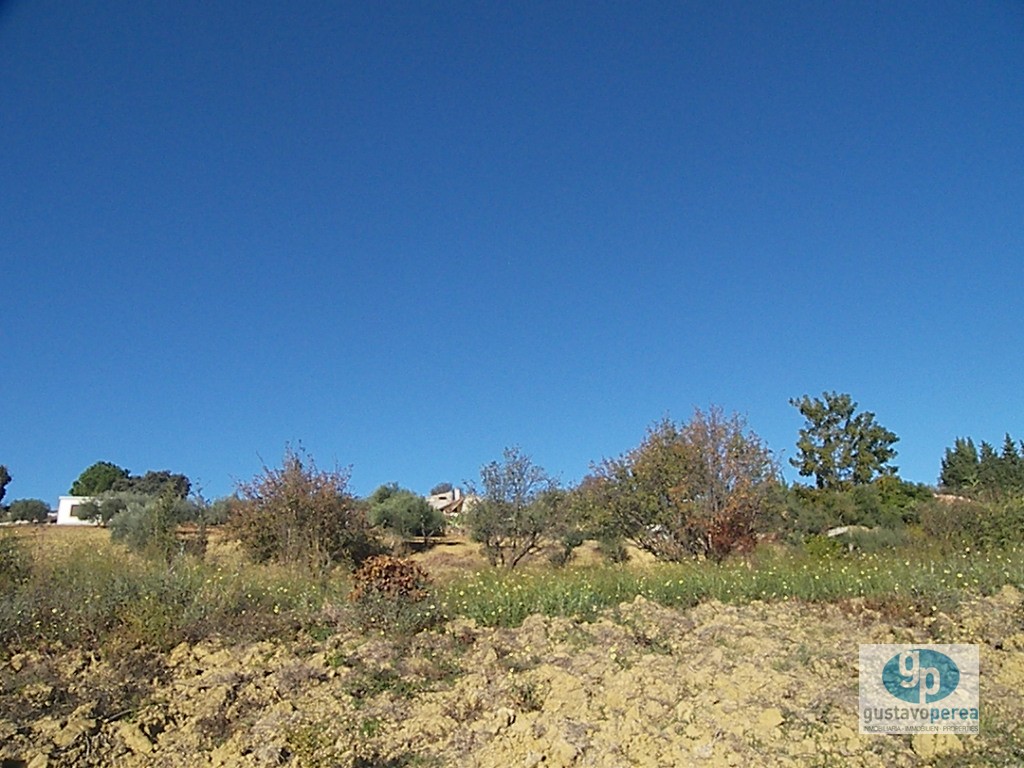 Country Property salgai in Alhaurín de la Torre