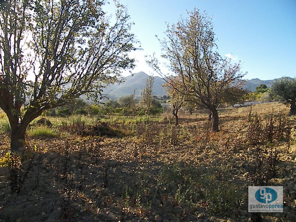 Finca en la Alquería.