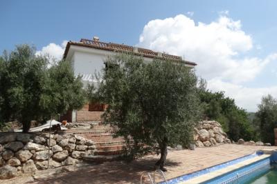 Finca en venta en Periana