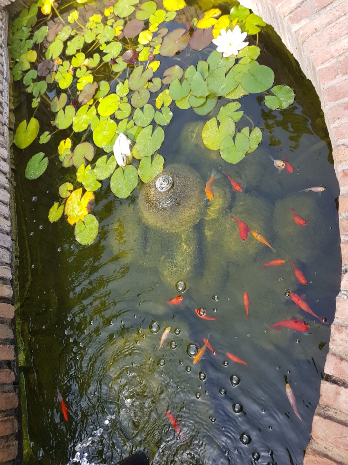 Charming villa in El Lagar Urbanization