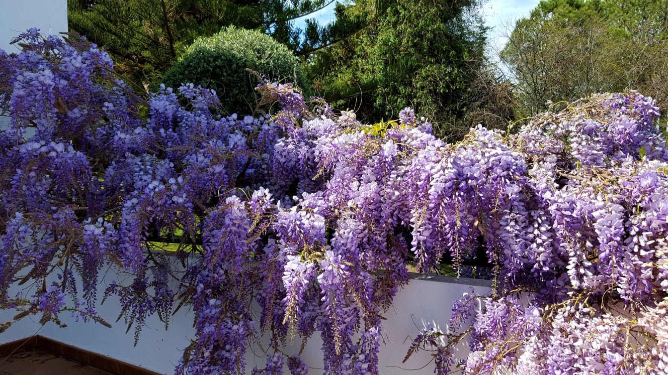 Charming villa in El Lagar Urbanization