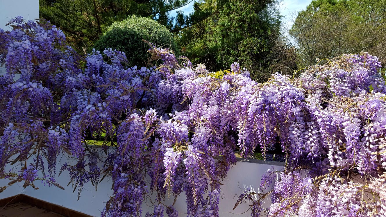 Villa til salg i Alhaurín de la Torre