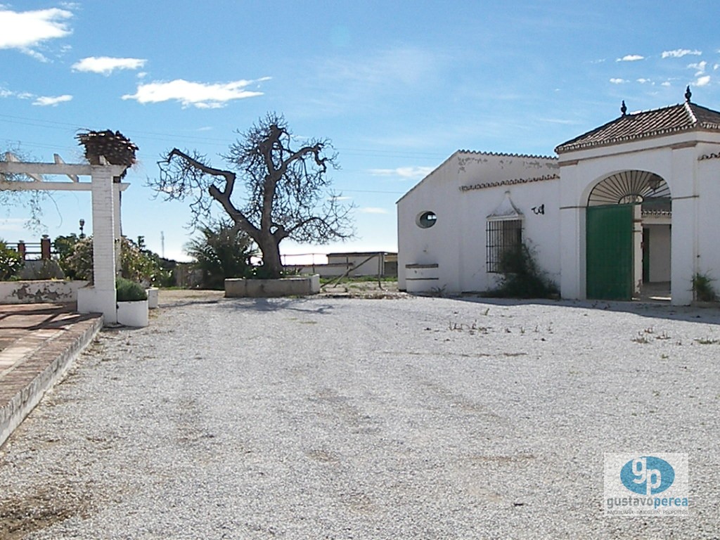 Parcelle en vente à Almayate