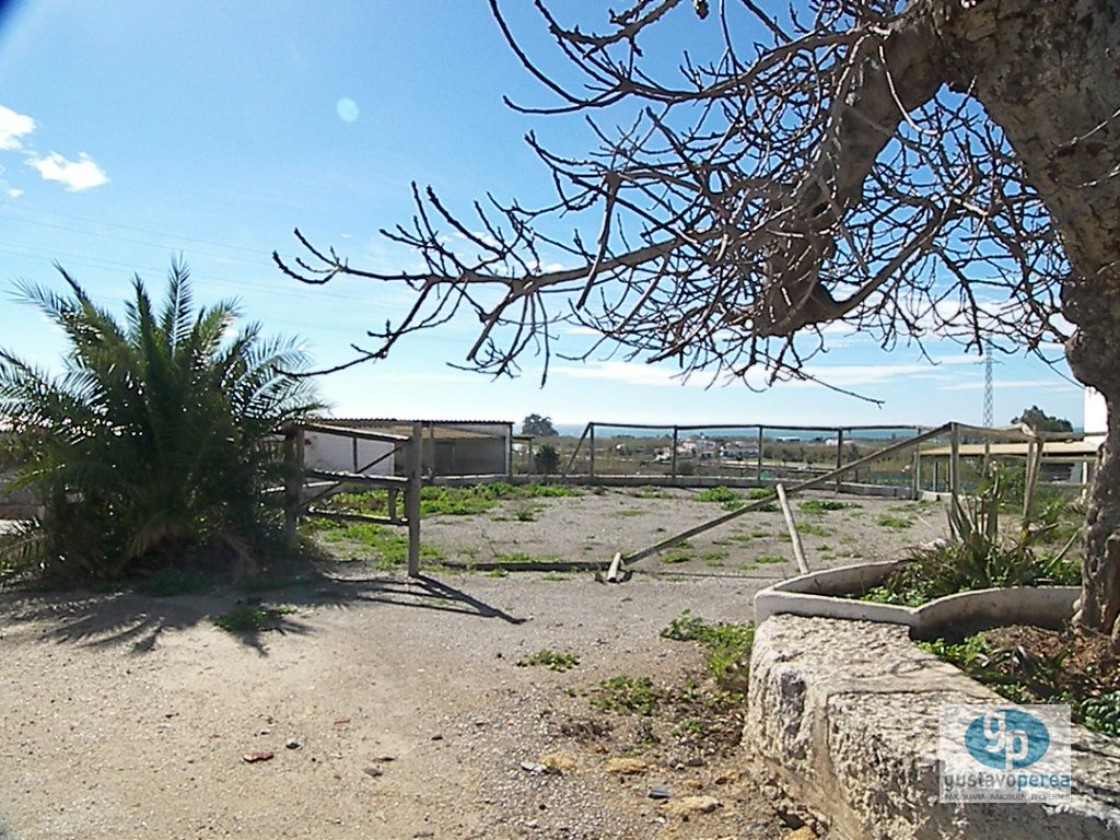 Parcelle en vente à Almayate