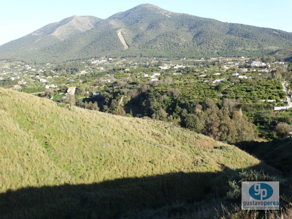 Finca ubicada en Alhaurin El Grande