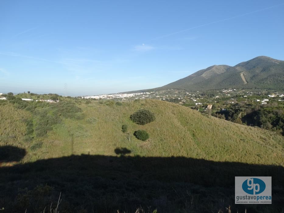 Finca ubicada en Alhaurin El Grande