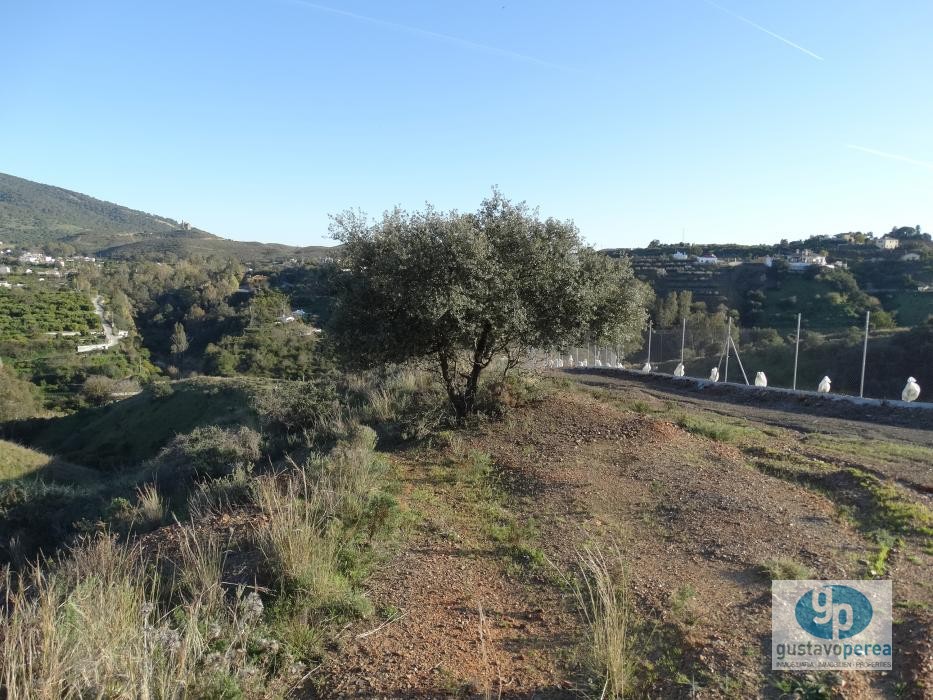 Farm located in Alhaurin El Grande