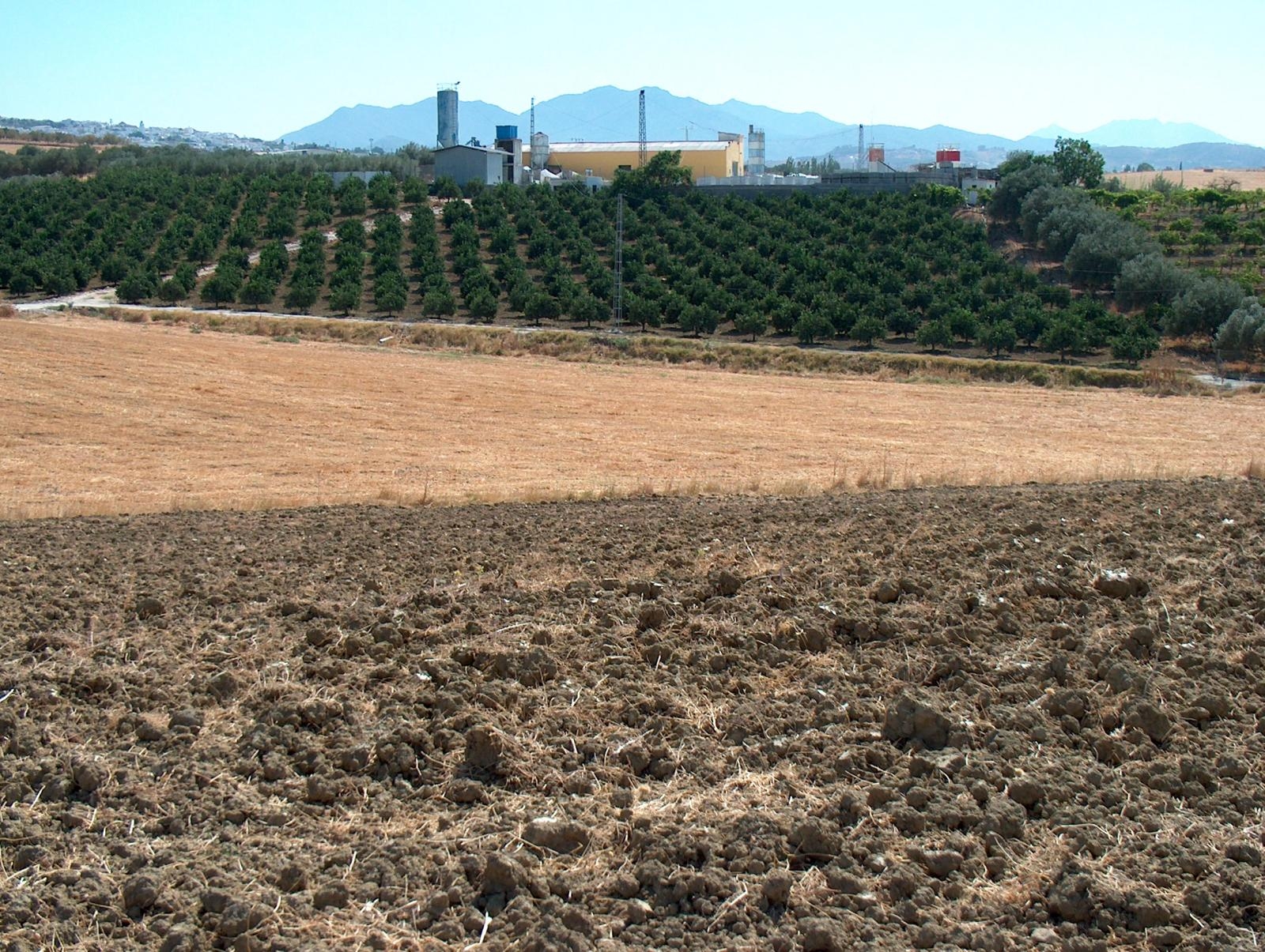 Finca rústica en Alhaurin el Grande