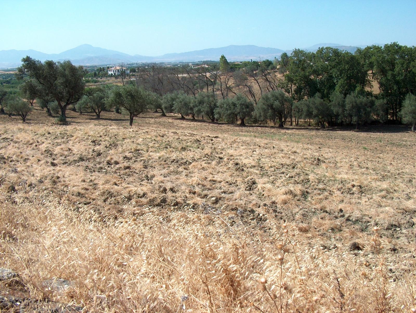 Finca rústica en Alhaurin el Grande