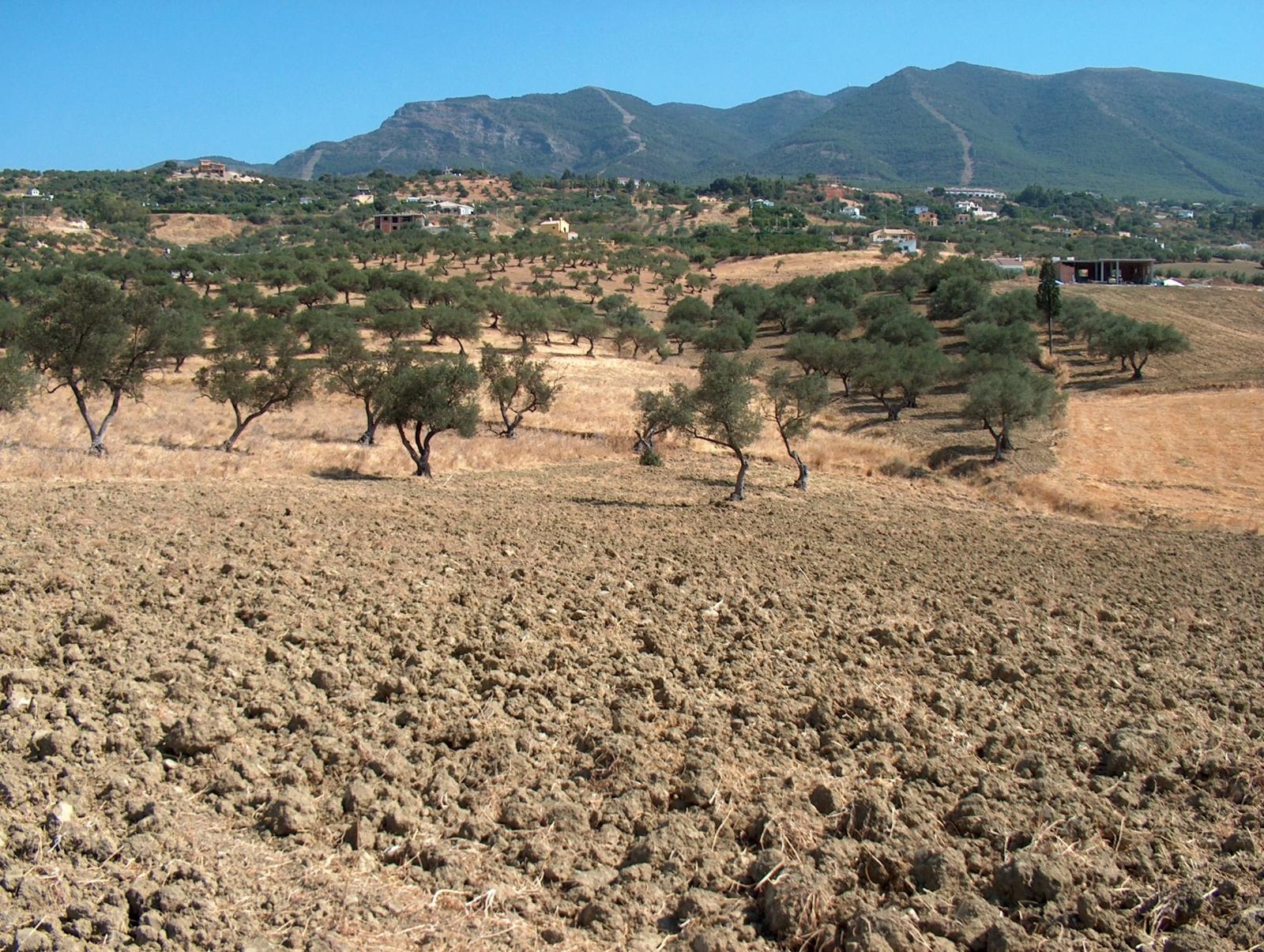 Finca rústica en Alhaurin el Grande