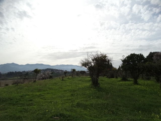 Rustikt plot beliggende i Cortijo Mestanza