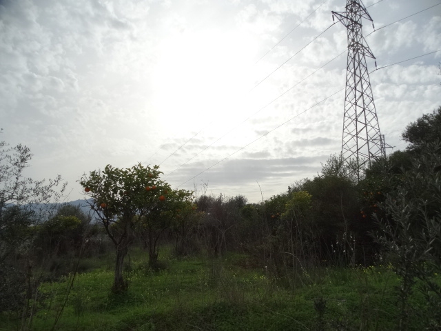 قطعة أرض ريفية تقع في Cortijo Mestanza