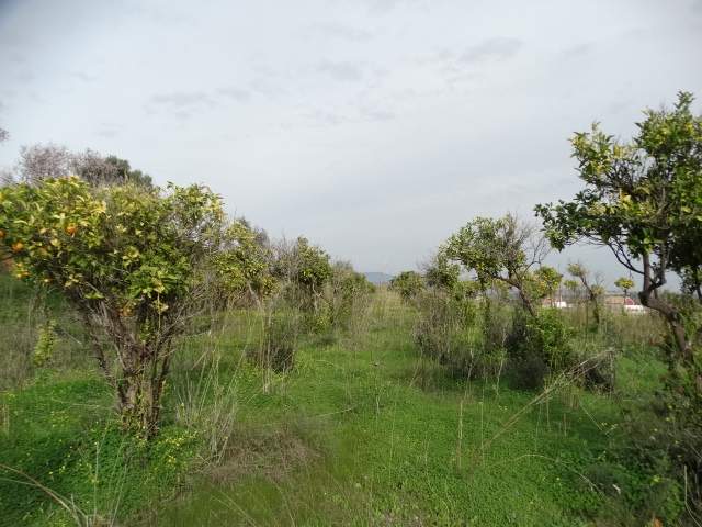 قطعة أرض ريفية تقع في Cortijo Mestanza