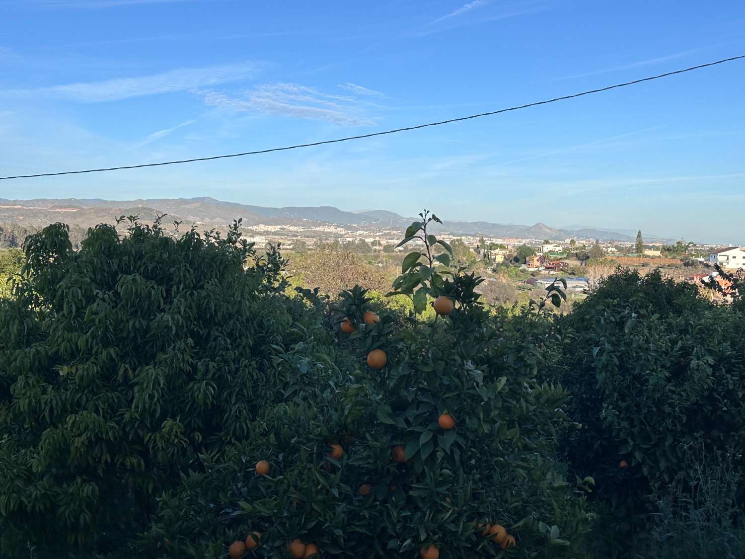 Urban plot, in the Romeral.