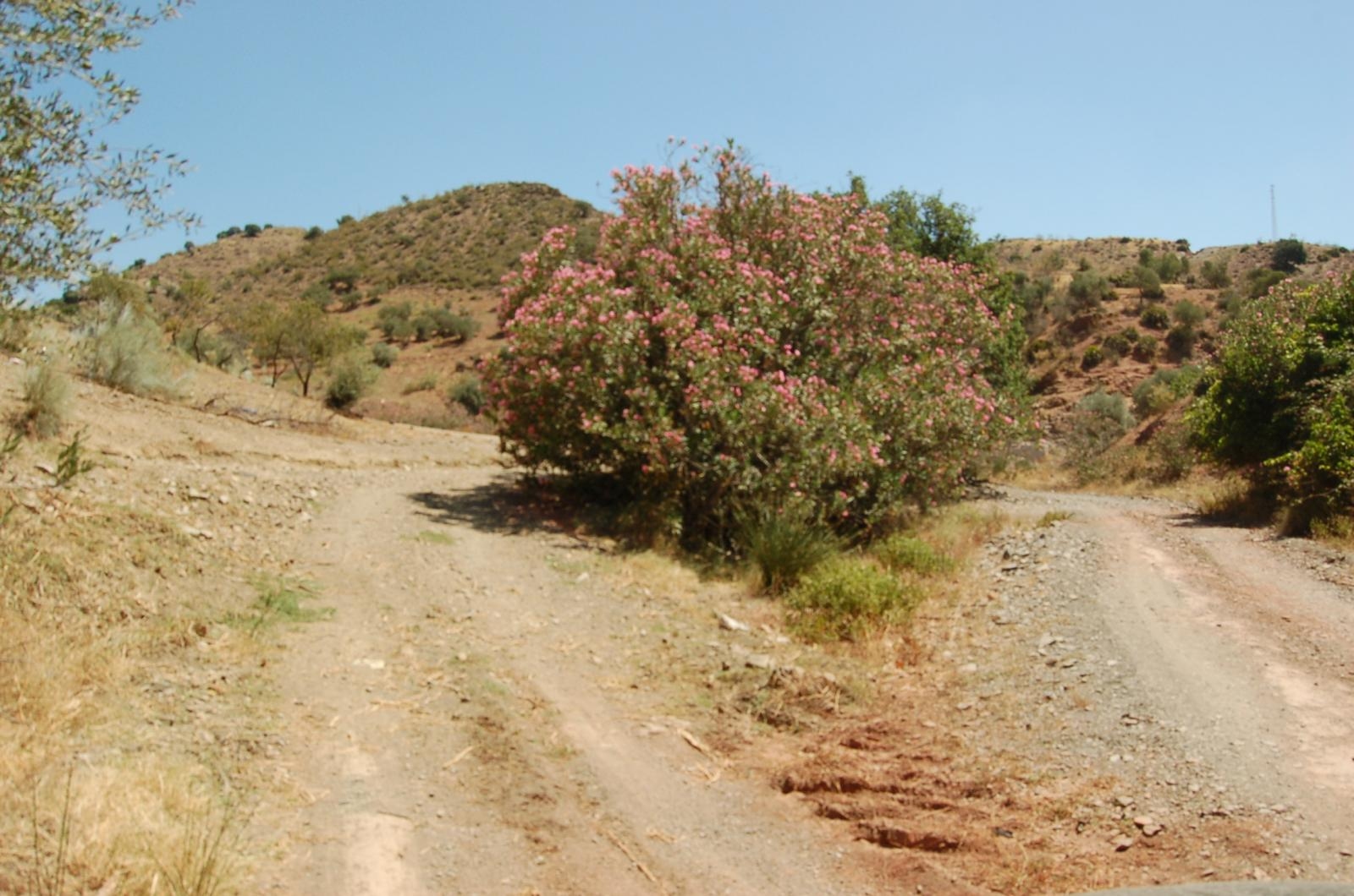 Bauernhof in Cártama Estación