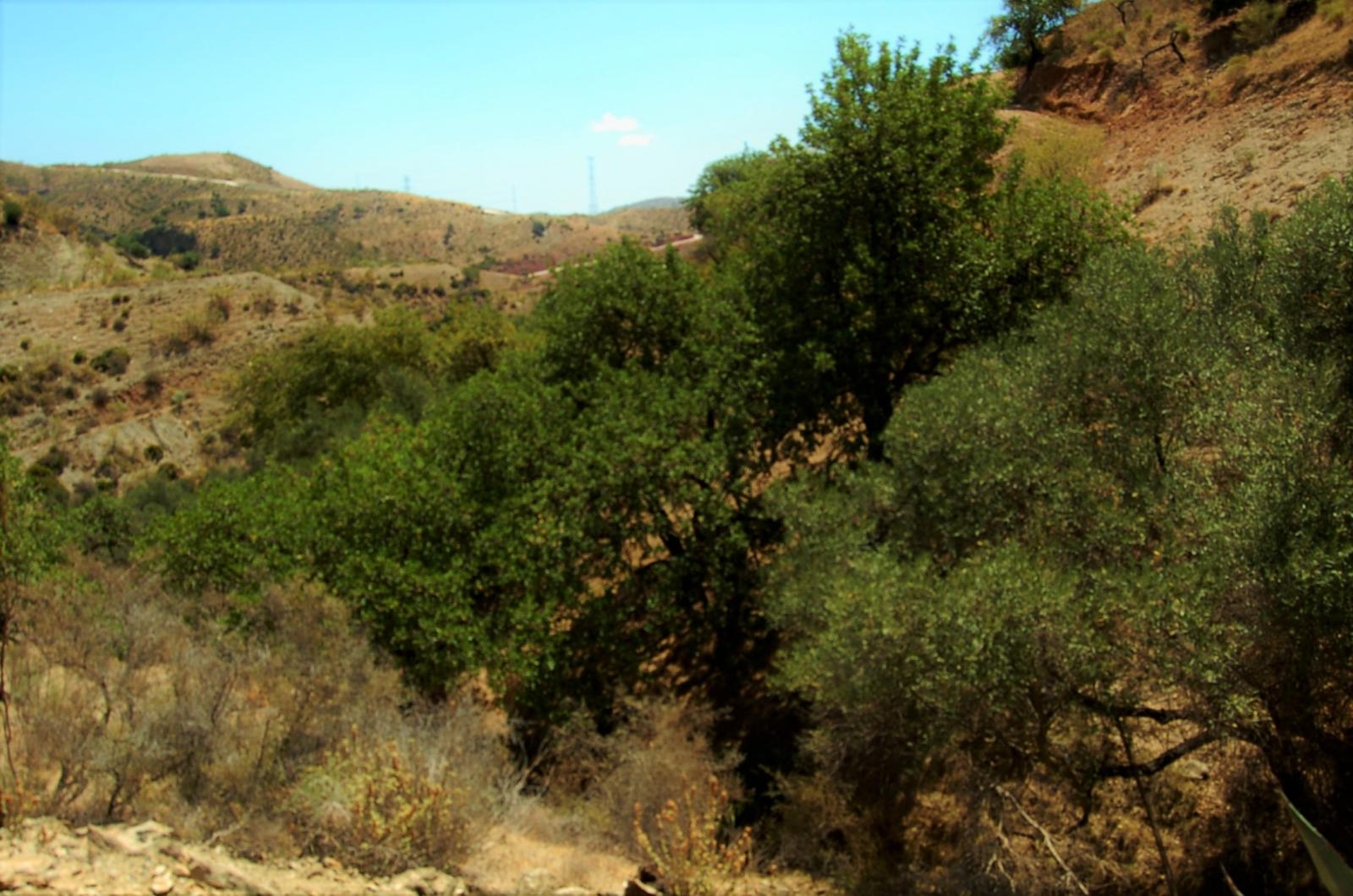 Finca ubicada en Cártama Estación