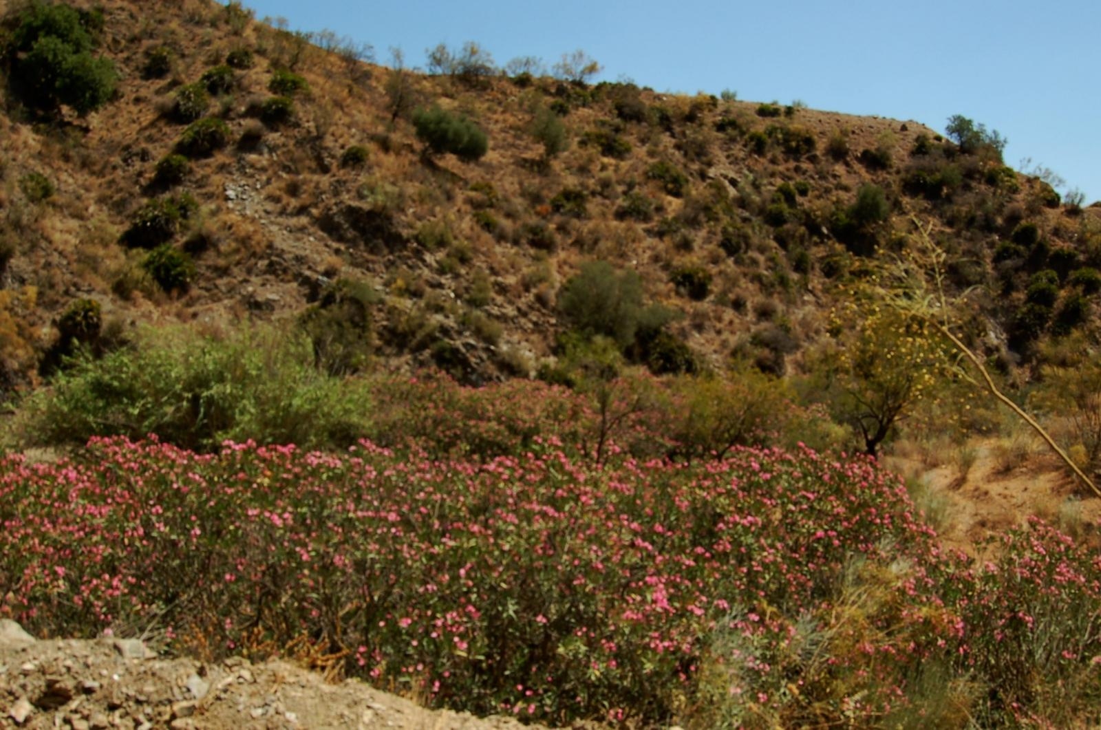 Finca ubicada en Cártama Estación