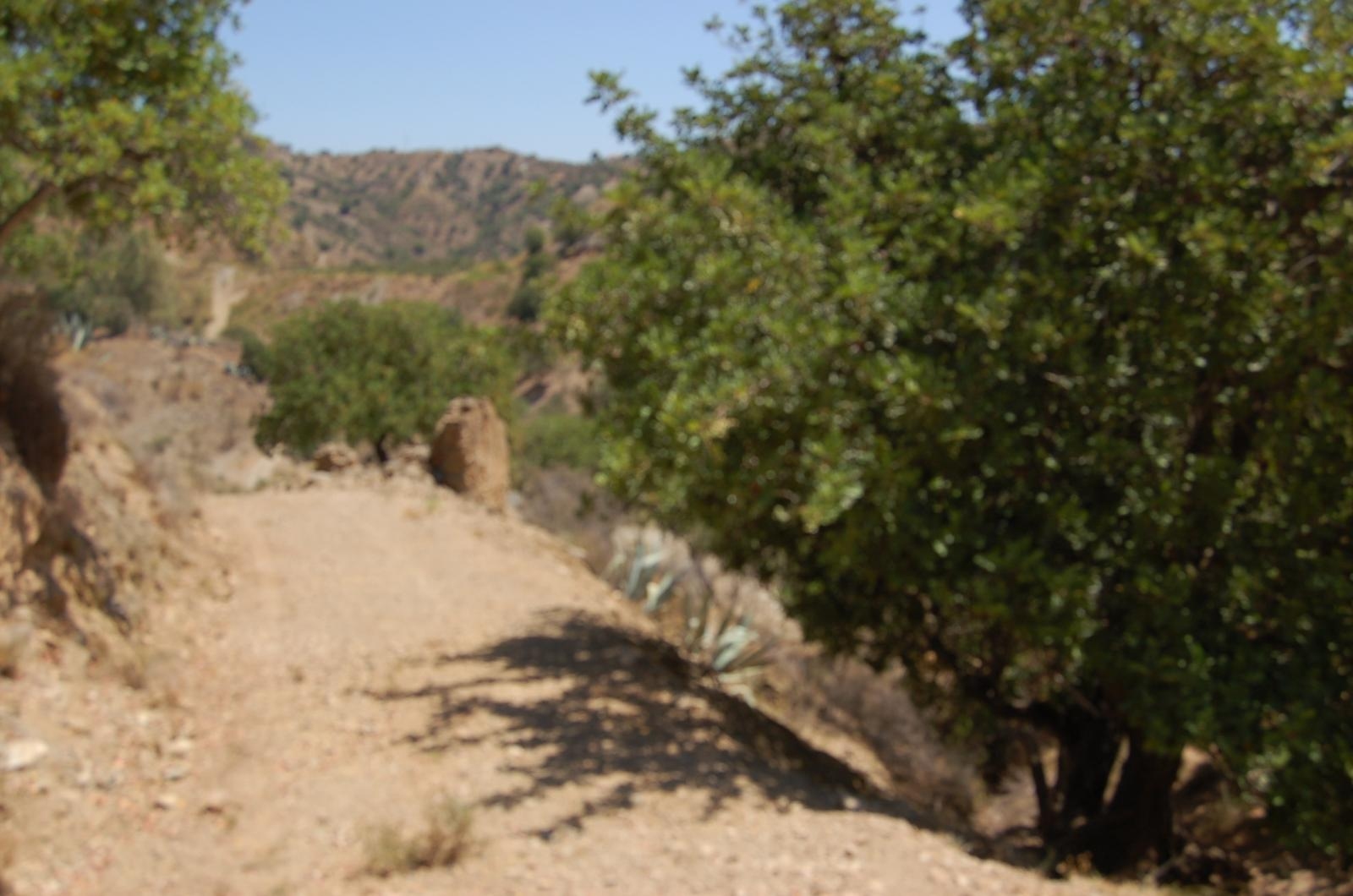 Finca ubicada en Cártama Estación