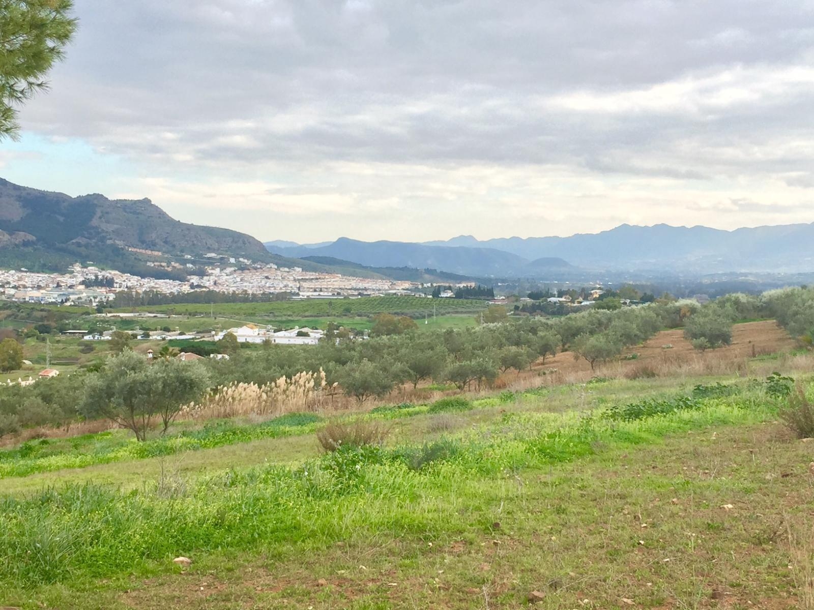 Spettacolare fattoria di 43.297 m2 a Pizarra.