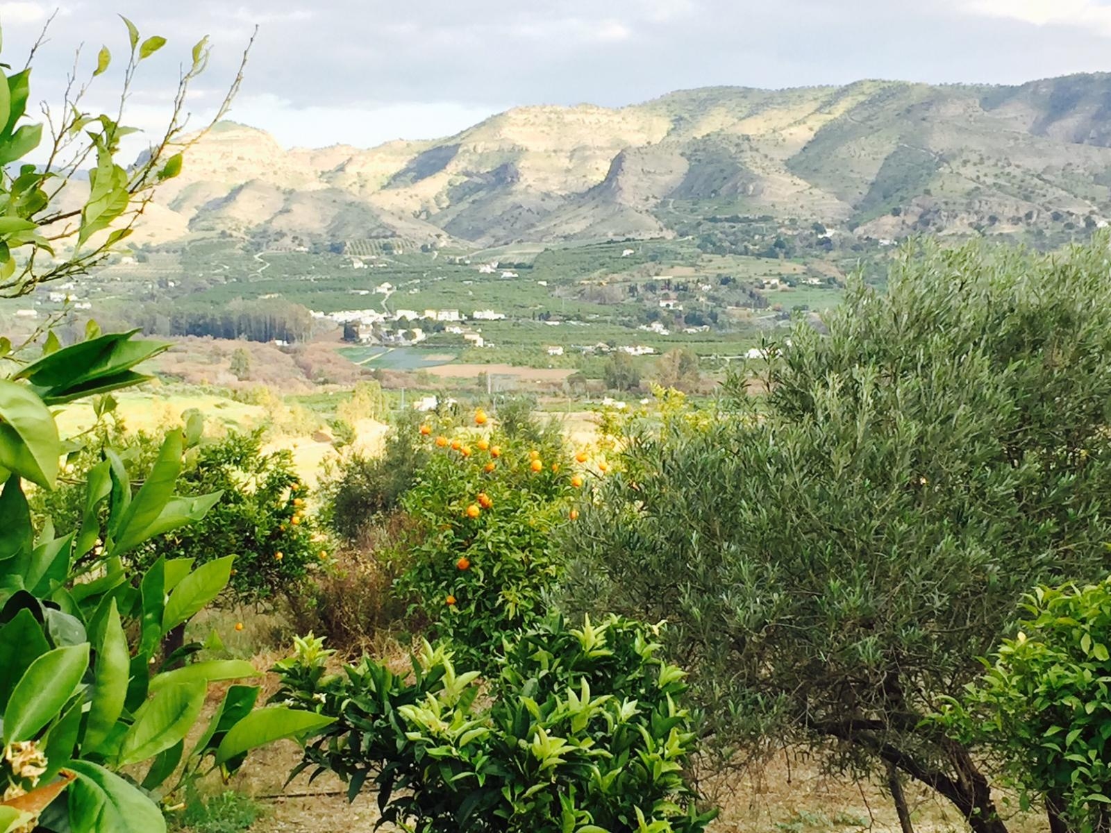 Spettacolare fattoria di 43.297 m2 a Pizarra.